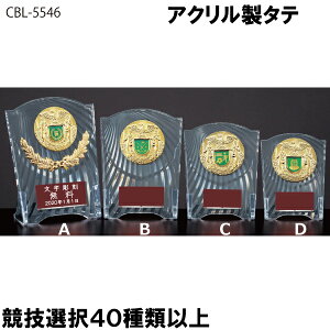 yV1ʁ AN^e@CCL-5546C 14cmy㖳zgtB[@c@Ɓ@LOi@St@TbJ[@싅@CBL-5546C