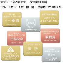 楽天市場】トロフィー プレート シルバーの通販
