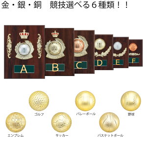|@^e@S-6060C@22.5cm@[hC[O@싅@TbJ[@oXPbg{[@o[{[@Sty㖳zDJbv@c@Ɓ@LOi@\|@S-6296