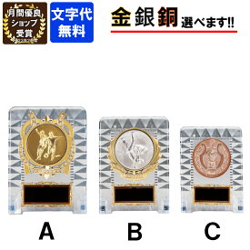 ★楽天1位★ 樹脂製タテ　KV-5439Aサイズ～Cサイズ　高さ16.5cm～13cm【文字代無料】ゴールドシャチ　金　銀　銅卒業　卒団　記念品　野球　サッカー　ゴルフ　アクリル製　盾　楯