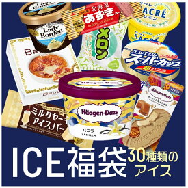 これまでに3万個以上売れた 超お買い得 アイスクリーム福袋 合計30個入り (中身は当店お任せ) アイスクリーム アイス 福袋 詰め合わせ 大容量 訳あり ハーゲンダッツ 　fukubukuro バレンタイン