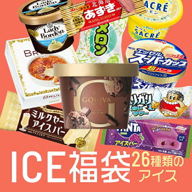 お中元 超お買い得 アイスクリーム福袋 合計26個入り (中身は当店お任せ) アイスクリーム アイス 福袋 詰め合わせ 大容量 訳あり スーパーカップ ガリガリ君 fukubukuro