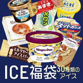 お中元 これまでに3万個以上売れた 超お買い得 アイスクリーム福袋 合計30個入り (中身は当店お任せ) アイスクリーム アイス 福袋 詰め合わせ 大容量 訳あり ハーゲンダッツ スーパーカップ ガリガリ君 明治 赤城乳業 森永製菓 送料無料