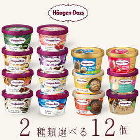 ハーゲンダッツ アイスクリーム ミニカップ 14種類から2種類選べる福袋12個（6個×2種類）セット