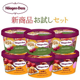 楽天市場 ハーゲンダッツ 6個の通販