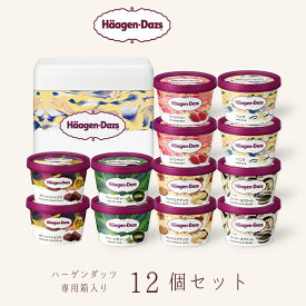 ハーゲンダッツ アイスクリーム ギフト ミニカップ（110ml) おすすめ12個セット お歳暮 冬ギフト