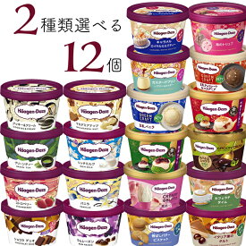 ハーゲンダッツ アイスクリーム ミニカップ 20種類から2種類選べる福袋12個（6個×2種類）セット
