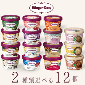 ハーゲンダッツ アイスクリーム ミニカップ 15種類から2種類選べる福袋12個（6個×2種類）セット お歳暮 冬ギフト