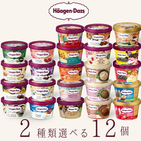 ハーゲンダッツ アイスクリーム ミニカップ 23種類から2種類選べる福袋12個（6個×2種類）セット