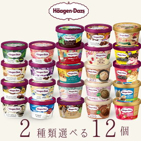ハーゲンダッツ アイスクリーム ミニカップ 23種類から2種類選べる福袋12個（6個×2種類）セット