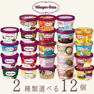 ハーゲンダッツ アイスクリーム ミニカップ 23種類から2種類選べる福袋12個（6個×2種類）セット お中元 …