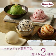 ハーゲンダッツ業務用2L　2個入り 6種類から2種類選べる バニラ グリーンティー ストロベリー ミルクチョ…