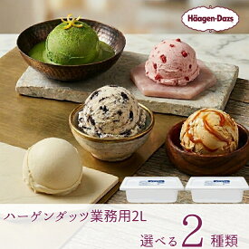 ハーゲンダッツ業務用2L　2個入り 6種類から2種類選べる バニラ グリーンティー ストロベリー ミルクチョコレート クッキー&クリーム　キャラメル 大容量 kcou