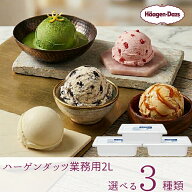 ハーゲンダッツ業務用2L 3個入り 6種類から3種類選べる バニラ グリーンティー ストロベリー ミルクチョ…