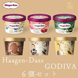 ゴディバ ハーゲンダッツ 人気フレーバー詰め合わせ6個セット お歳暮 冬ギフト