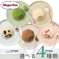ハーゲンダッツ業務用2L　4個入り 5種類から選び放題 バニラ グリーンティー ストロベリー ミルクチョコ…