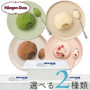 ハーゲンダッツ業務用2L　2個入り 4種類から2種類選べる バニラ グリーンティー ストロベリー ミルクチョコレート 大…