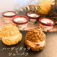 アイス ギフト ハーゲンダッツ（4種） アイスクリーム・シュー皮　（2種x2個）セット シューアイス
