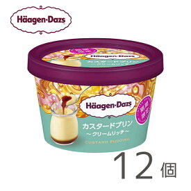 ハーゲンダッツ ミニカップ カスタードプリン ～クリームリッチ～ 12個