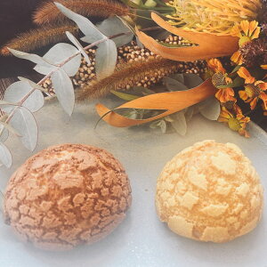 V[@lCV[N[XRe:breathẽV[ ґȃXC[č km2025