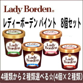 レディーボーデン パイント（470ml) 選り取り8個（4個×2種類）セット
