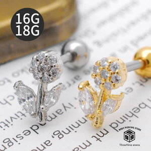 �{�f�B�s�A�X 18G 16G �� �t�����[ 18g ��s�A�X 16g �X�g���[�g�o�[�x�� �{�f�B�[�s�A�X �L���b�` �V���o�[ �o�[�x���s�A�X ���f�B�[�X ��p �s�A�X 16�Q�[�W �y���������z�y ho�z