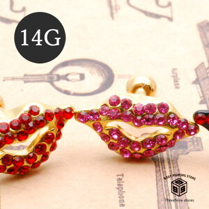 {fBsAX 14G   O bv {fB[sAX sAX 14Q[W  傫 N`r 킢 ЎsAX yz