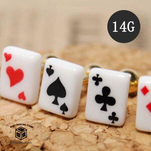 sAX 14G gv {fBsAX sAX gv sAX sAX  킢 {fB[sAX  fB[X Y փbNX yz