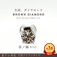 ≪少量受付再開≫【茶ノ極 予約受付 受注生産】 ブラウン ダイヤモンド ピアス 0.1ct 一粒 ボディピアス …