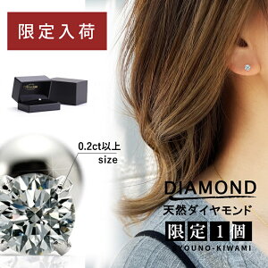 y0.2ctȏ 󒍐Yz m ꗱ {fBsAX _Ch 0.2ct `0.3ct   4mm O ςȂ sAX 16G 14G sAX AM[Ή sAX ЎsAX T[WJXe