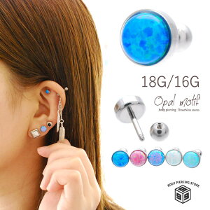 {fBsAX sAX 16G 18G Ip[  փbNX {fB[sAX T[WJXeX o[xsAX   sAX Xg[go[x Ԃ sAX yzy2end