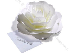 炭悤ɂЂ炭Ԃ̃TL[J[h 4Zbg zCgJ[ o[Xf[J[h EFfBO Ajo[T[ w  ̓ j NX}X O[eBOJ[h 芴