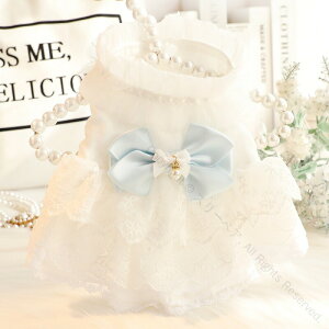  t  Lp PnhX zCg EFfBOhX tbVfUC Č ^ ^p ybg 킢 