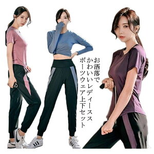 X|[cEFA fB[X ㉺Zbg tBbglXEFA 2_Zbg   jOEFA r zf yʃXgb`œ₷g[jOɍœKȃfUC