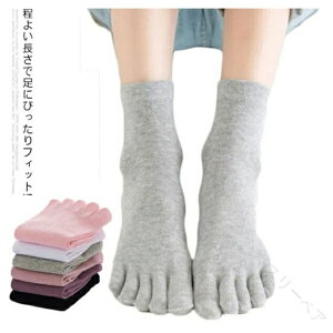 5{w\bNX fB[X 3Zbg ȍf NT|[g C p KtBbg z RۖhL X|[c╁igɍœK