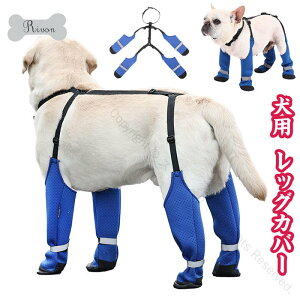 pbOJo[ ߉\  ppc  CR[g TXy_[t hdl pu[c ~ EȂ Cpc l{pc ی h~ op C