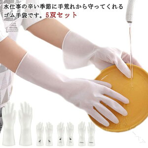 C| oX[| Lb`| Hސ H Ǝp  Lb`O[u S fB[X 5oZbg ϋvQŊ~ߕtƎp