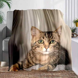 uPbg 3DfW^vg gL |GXe ӂӂ yʂŒg  AEghA \t@ ItBX xbh Lv s G| Qѕz prpŉKQ 125cm×