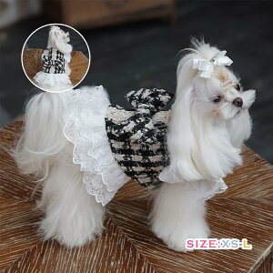  hX cC[h s[X hbOEFA L `[XJ[g hbLOs[X [X GKgR[g  h ۉ Pl  Ղ   ^ ^ C