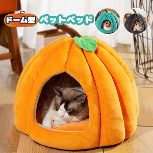 L xbh LnEX h[^ ybgxbh  J{` ybgeg NbV \t@[ LbgnEX ybgpQ ~p  nEX g ^Ή ӂӂ{Adl 