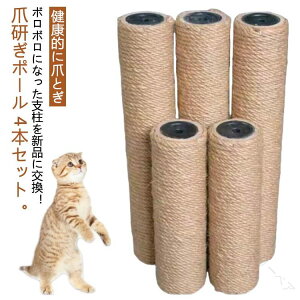 L lRp ܌ p|[ 4Zbg Lbg^[x ߂Ƃ ւ 6cm ꊪ Iׂ钷 M8-20cm M8-30cm M8-40cm ybgpi Lpi