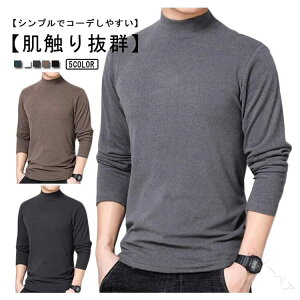 Ci[Vc N[lbN  Ci[ Nёf q[gebN ۉ h Y Ci[ KdŊ΍ɍœKȕۉQ̒gCi[Vc