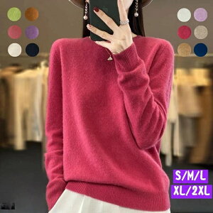 JV~ jbg N[lbN fB[XZ[^[ iŏ㎿ȌJV~Af H~pێ񒷑ۉQ̒gjbgEFA