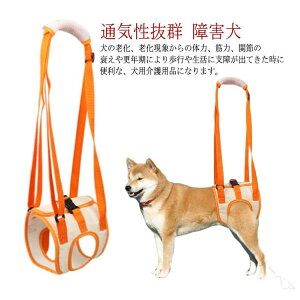 ^pn[lX pNオ⏕ 둫T|[g  s⏕hbOn[lX ߉\ ^ ^ V Q sT|[gnrppi ʋCQUp⏕n