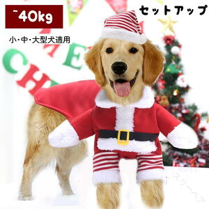 2_Zbg ybg NX}XRX`[ ^ ^ ^p NX}XEFA Xqt T^X^C T^  L T^N[Xߑ ybgpZbg