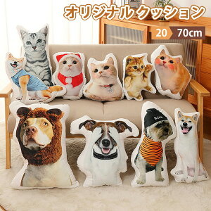 IWi ANbV ybg   L  I[_[ChNbV 󒍐Y LOi ` ʎʐ^ vg NbV