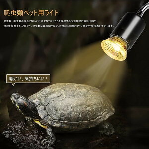 3dt ޗpCg ঒ރCg TCg UVA UVB p q[^[ iK 25W 50W 75W AiOz M M oXLOCg ۉd OCg w 360xpx 