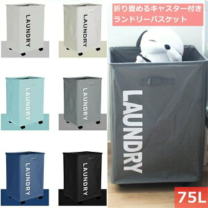 ԗ֕t󕨃oXPbg kLX^[t h[oXPbg ܂肽 h[ {bNX eʎ[{bNX [obO ܂肽ݎS E߂ 󂩂 