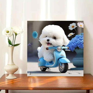 _ChA[g q l DIY  5D SҌ efB   ی^r[Y Sʓ\t 킢  CeA ɍœKȍiLbg