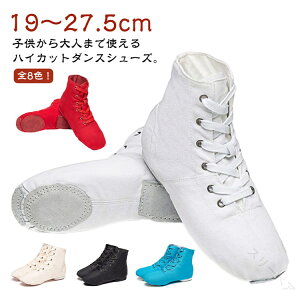 KpWYV[Y nCJbg lp fB[X Y LbYΉ `A[fBO _oG _XV[Y yʂŉKȗSn